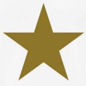 Group logo of Gold Star Gay’s